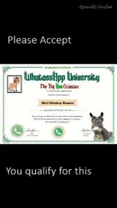 Best Hindi Free Whatsapp University Meme