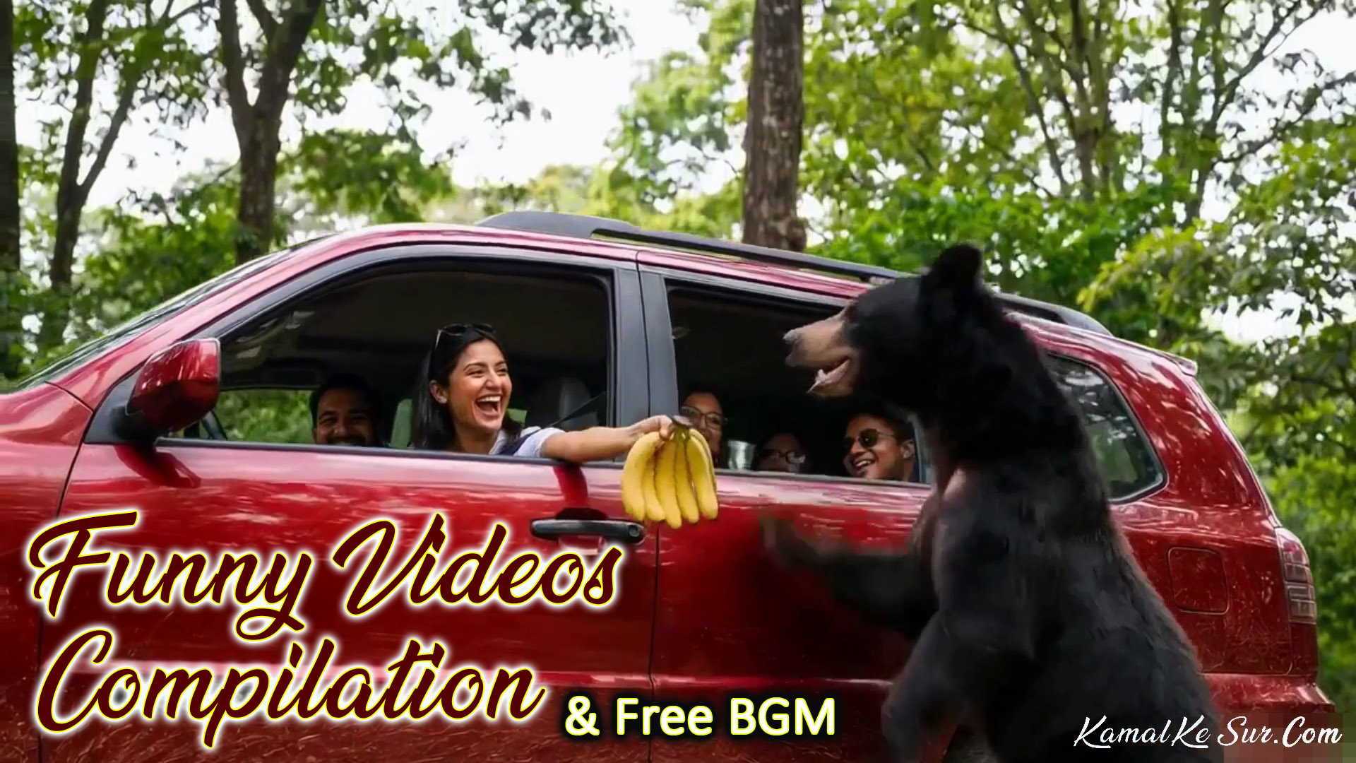 Free Background Music and Free Ringtones